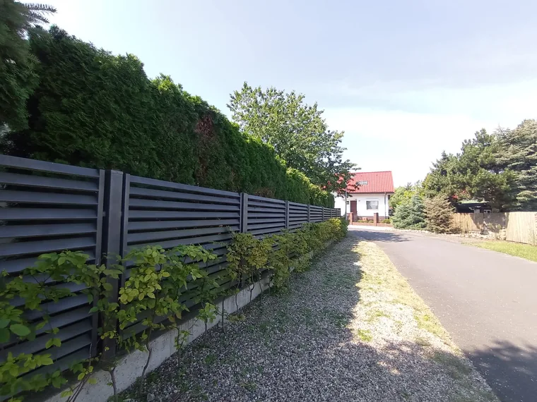 Pas zieleni i żwiru wzdłuż ogrodzenia z wysokim żywopłotem